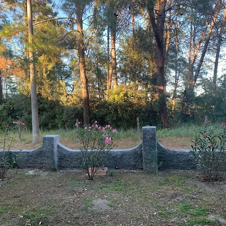 Laguna * Lido di Spina